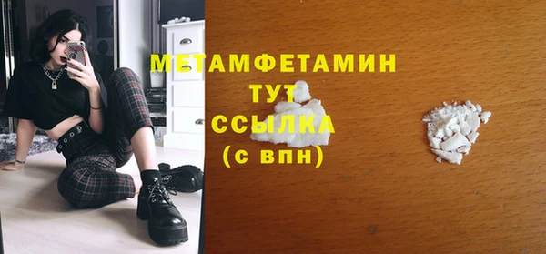 прущие грибы Беломорск