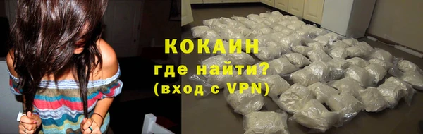 прущие грибы Беломорск