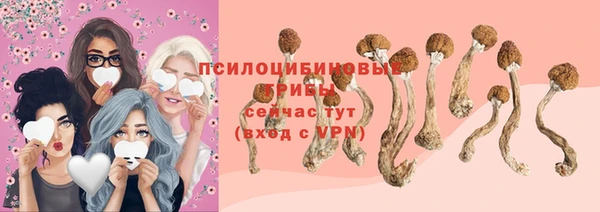 прущие грибы Беломорск