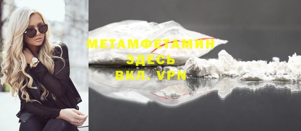 прущие грибы Беломорск