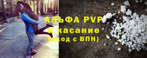 прущие грибы Беломорск