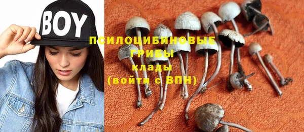 прущие грибы Беломорск