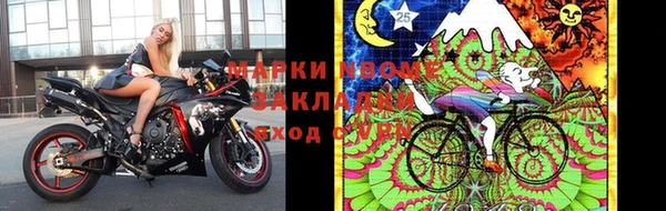 прущие грибы Беломорск