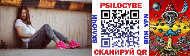 Галлюциногенные грибы Psilocybine cubensis  shop Telegram  Вытегра 